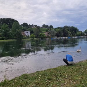 Bild 4890